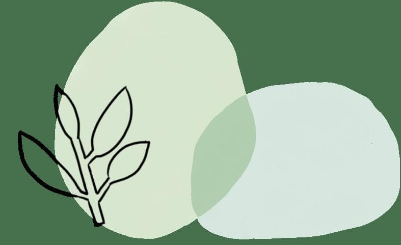 CICC科普栏目｜芝诺悖论