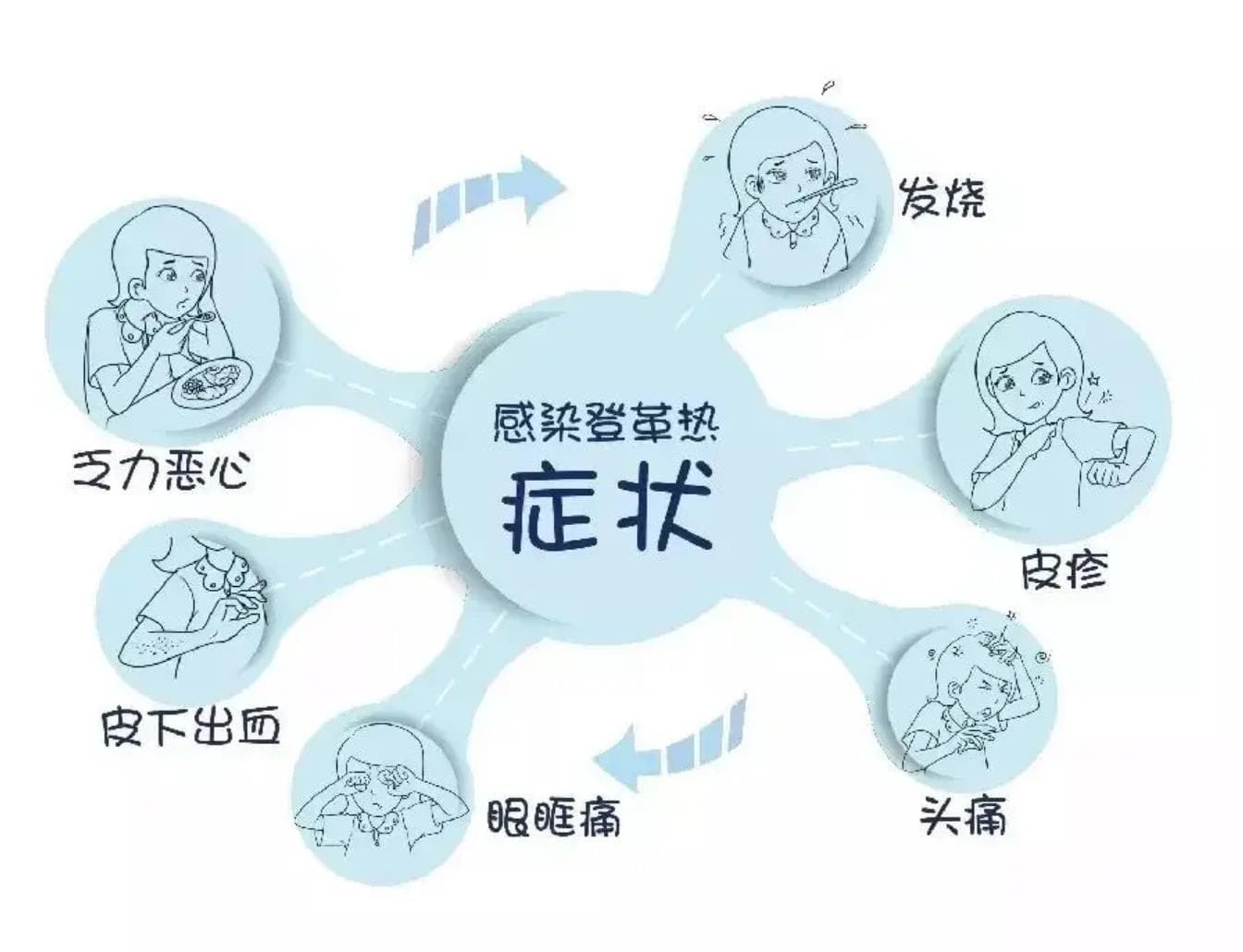 被蚊子咬后出现这些症状，小心感染登革热！