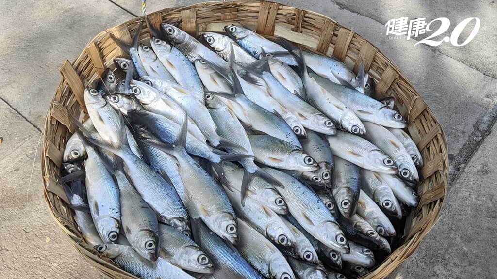 「热热喝」恐罹食道癌！专家建议3招降低8成癌症机率 吃这3种鱼更健康