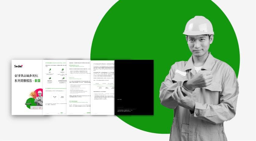 Sedex 全球供应链多元化系列报告 – 泰国