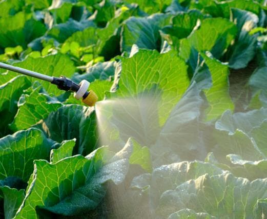 这些农药加速淘汰，高效低毒低残留生物农药成为业界新宠