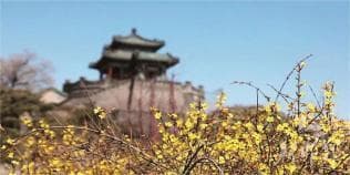 邯郸主城区赏花地图：30处赏花胜地，14种花卉花期全攻略