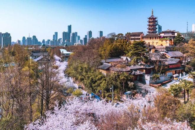 花朝节：一个正在消失的中国浪漫节日