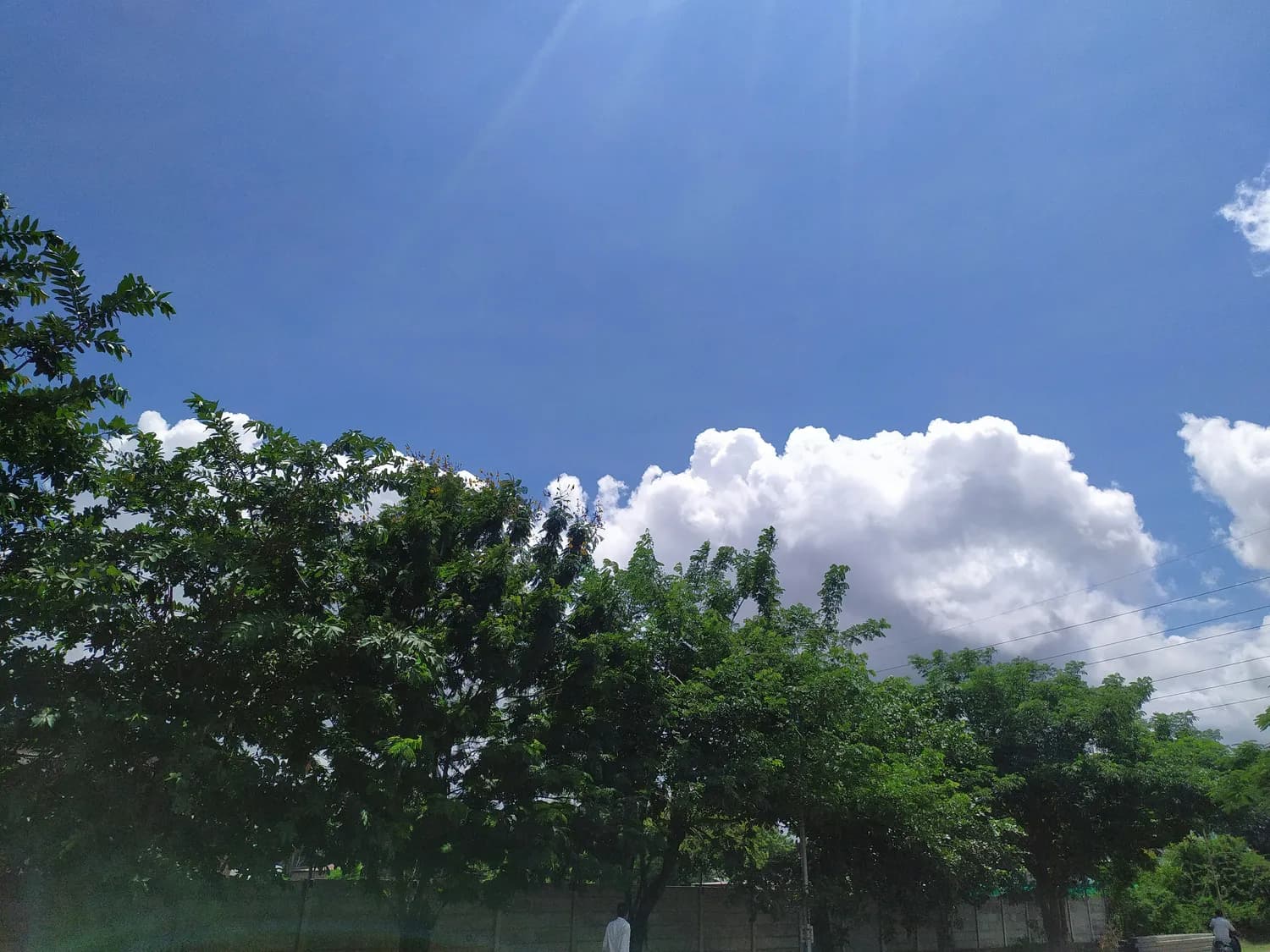 夏季气象现象大揭秘：晴天、雷雨、台风全解析！