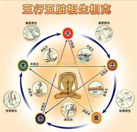 中医：五脏五行，相生相克！