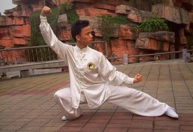 杨式太极拳习练技法 | 功架练习