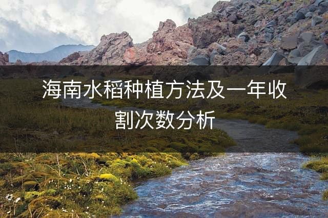 海南水稻种植方法及一年收割次数分析