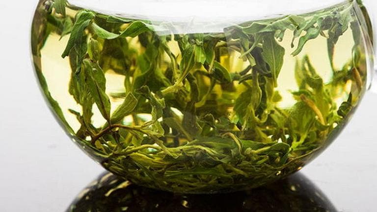 枸杞叶茶的功效与作用、禁忌和食用方法