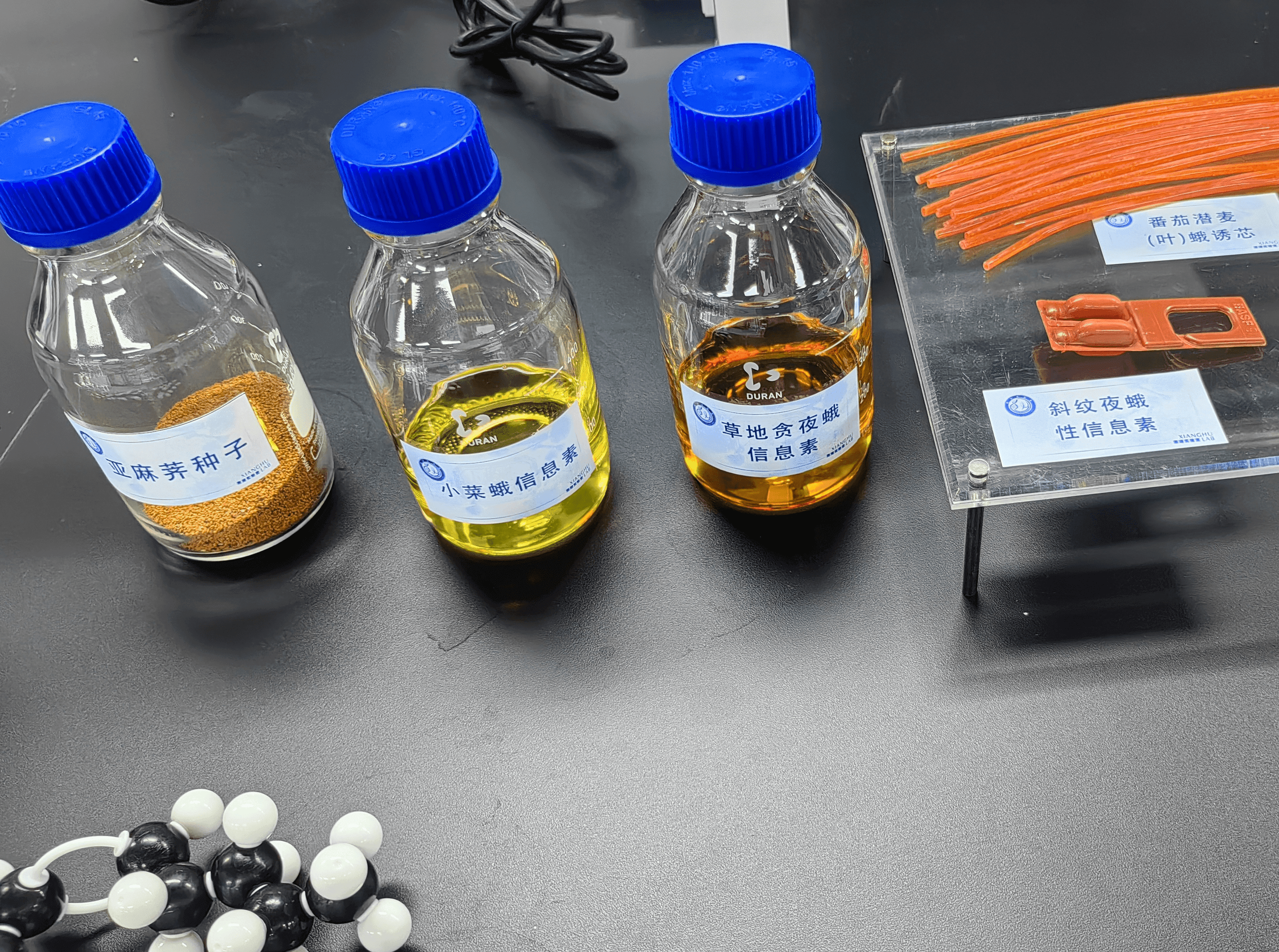 新质生产力的浙江实践 | 湘湖实验室引领农业科技创新，培育未来农业新质生产力