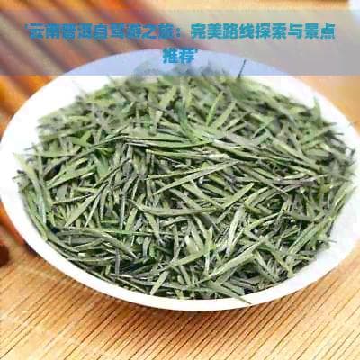 云南普洱自驾游之旅：完美路线探索与景点推荐