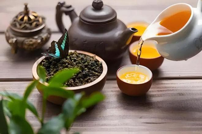 中医教你，不同体质如何喝茶