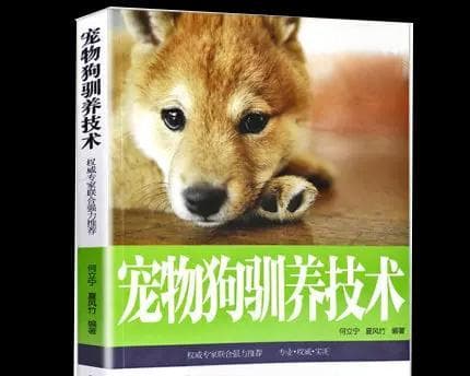 狗狗的排泄行为（宠物养成过程中必须了解的相关知识）