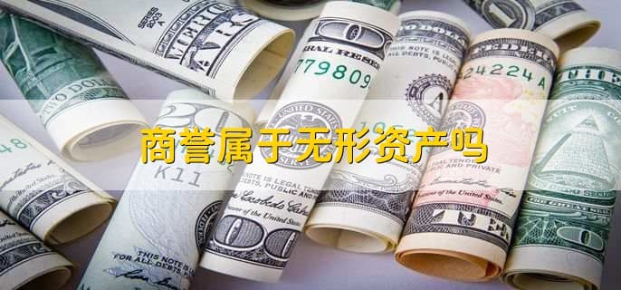 无形资产不摊销的三种情况