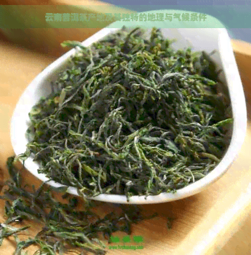 云南普洱茶产地及其独特的地理与气候条件
