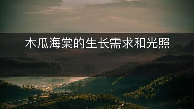 木瓜海棠的生长需求和光照要求是什么？