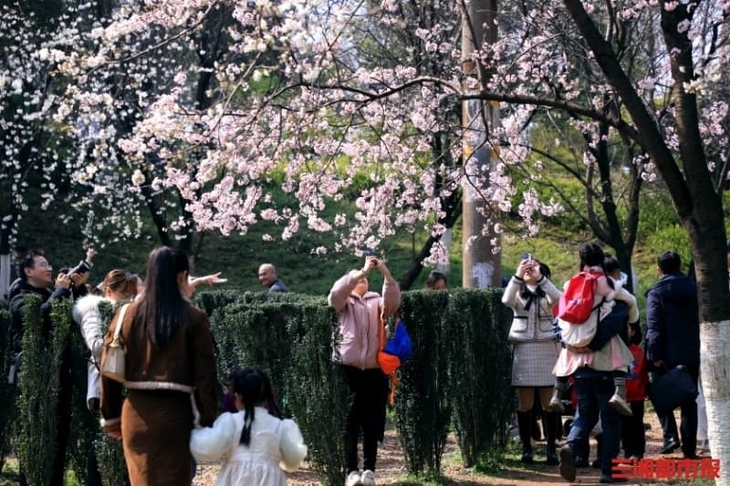 春如四季！湖南人的早夏装要拿出来了