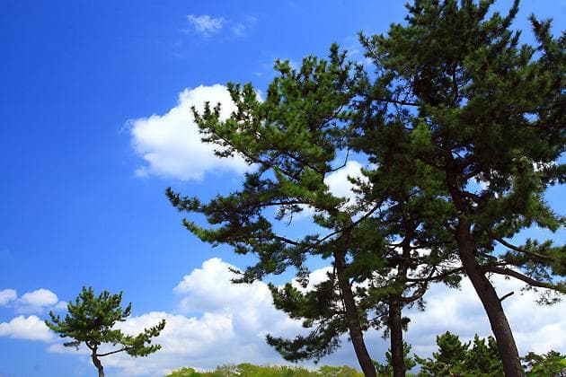 如何拍出湛蓝天空？七大实用摄影技巧详解