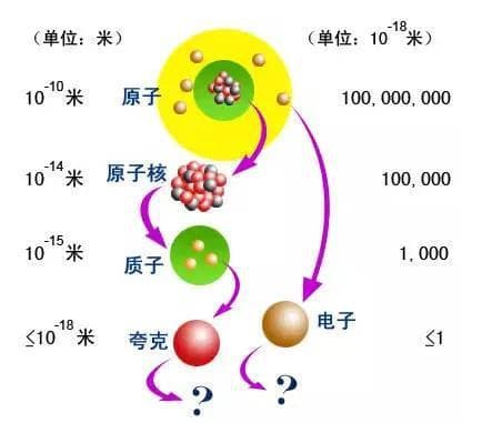 粒子、反粒子和虚粒子