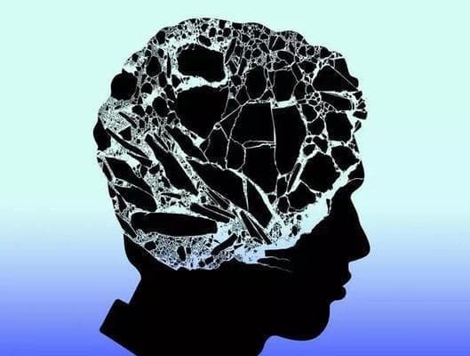 理性的重要性与意义（探寻人类思维中的关键元素——理性）