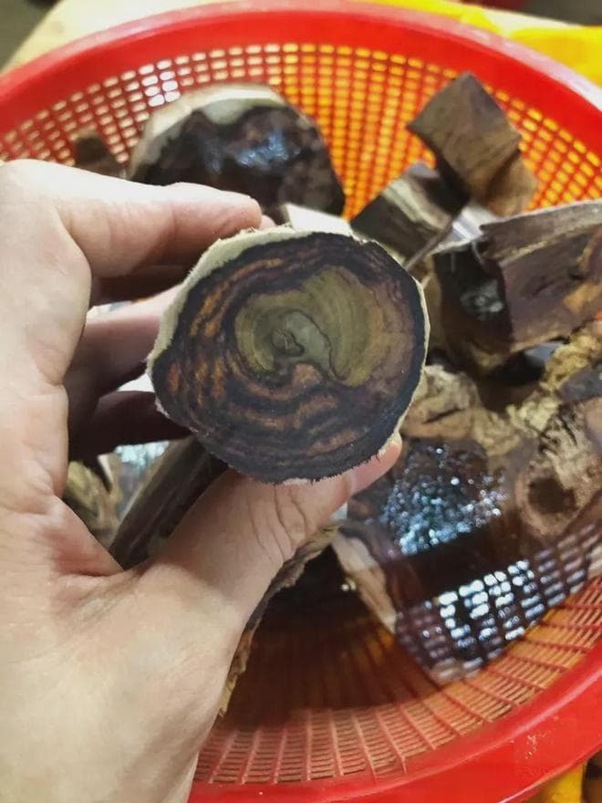 海南黄花梨鉴别：芝麻点纹理特征详解