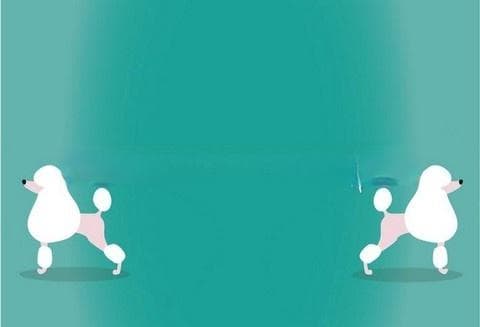 听力范围：人类与其他动物的听觉差异