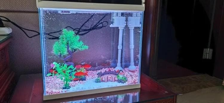 入门鱼缸怎么选