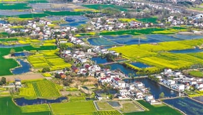 让乡亲们就地过上现代文明生活（推进乡村全面振兴不断取得新成效）
