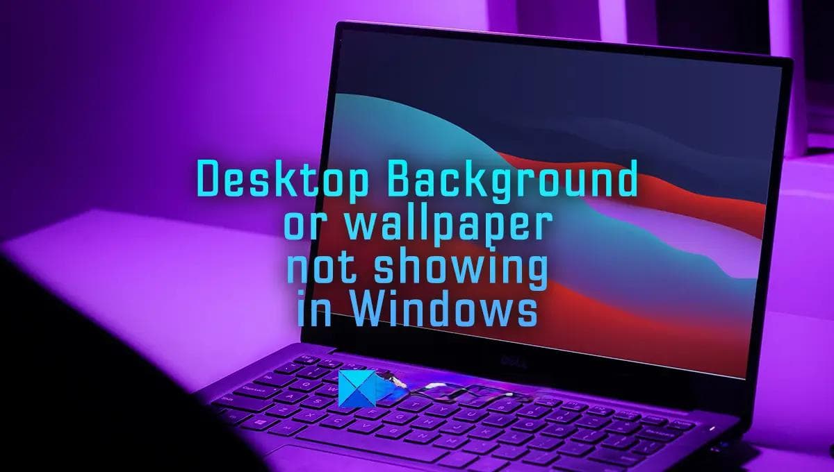 Windows 11/10 中不显示桌面背景或壁纸的解决方案