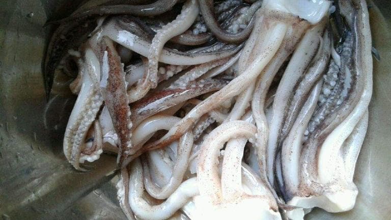 鱿鱼须的功效与作用、禁忌和食用方法