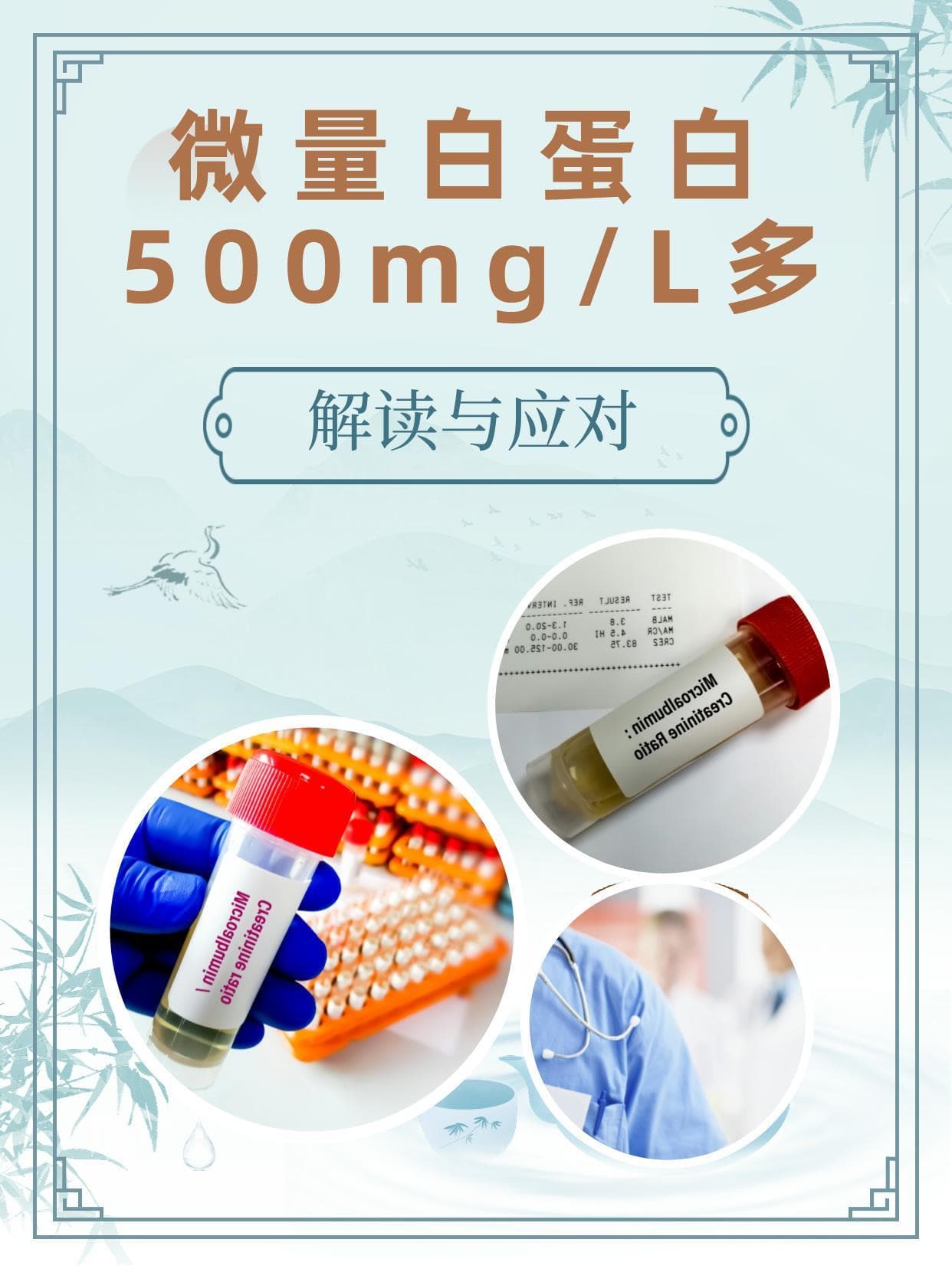 微量白蛋白500mg/L多，解读与应对