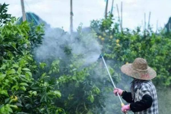 磷酸二氢钾如何兑水，根据作物及使用方法调整兑水量