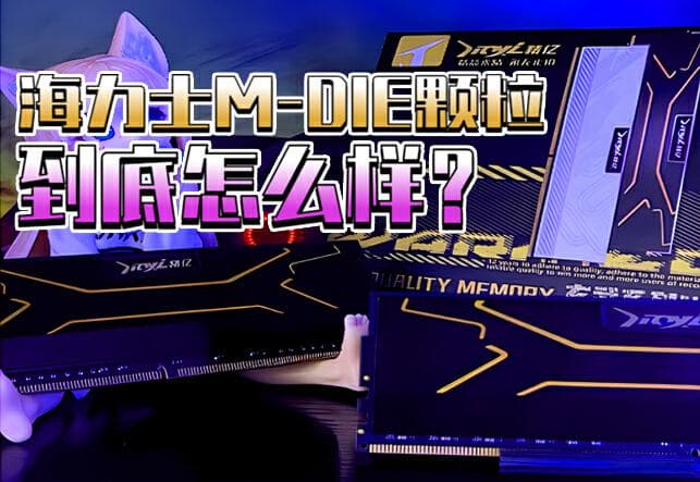 海力士M-die颗粒怎么样？超频性能处于什么水平