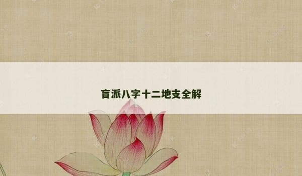 盲派八字十二地支全解