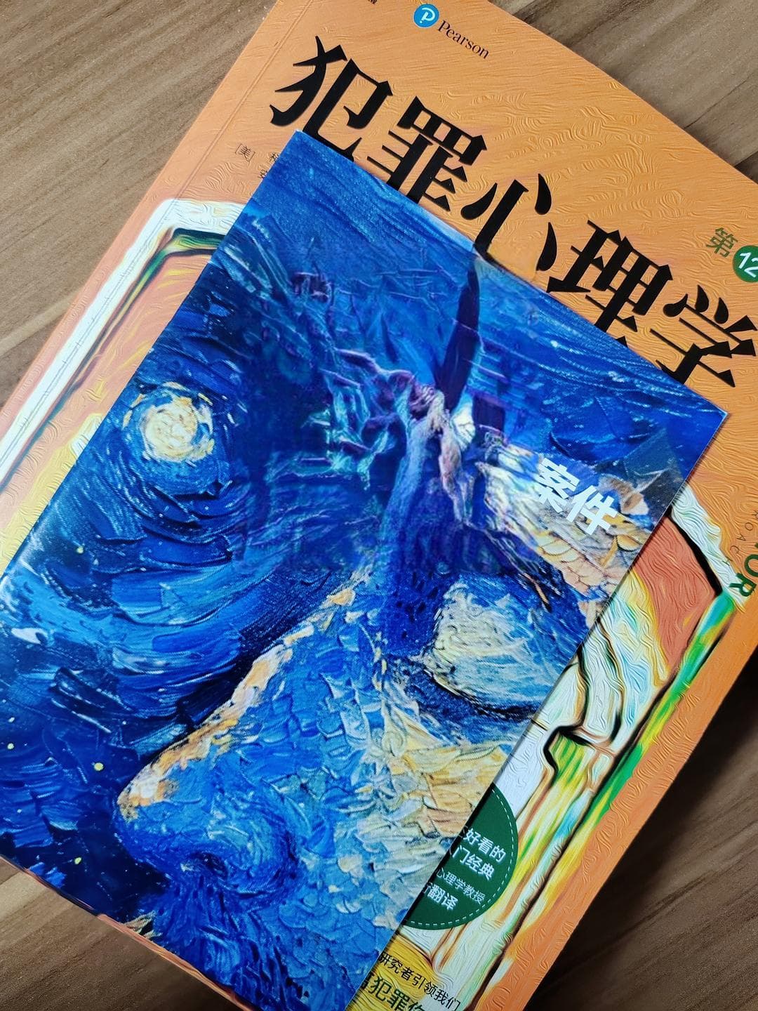 《犯罪心理学》：揭开犯罪心理的神秘面纱