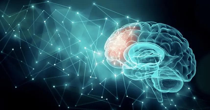 冥想与NSDR：科学放松身心的艺术