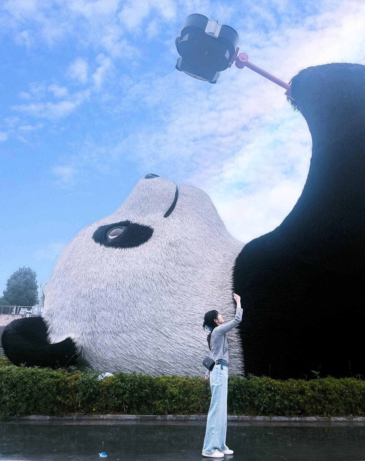 江苏到四川自驾游攻略：从江南水乡到天府之国