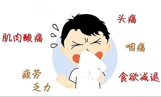 甲流症状有哪些怎么治疗？全面解析与科学应对