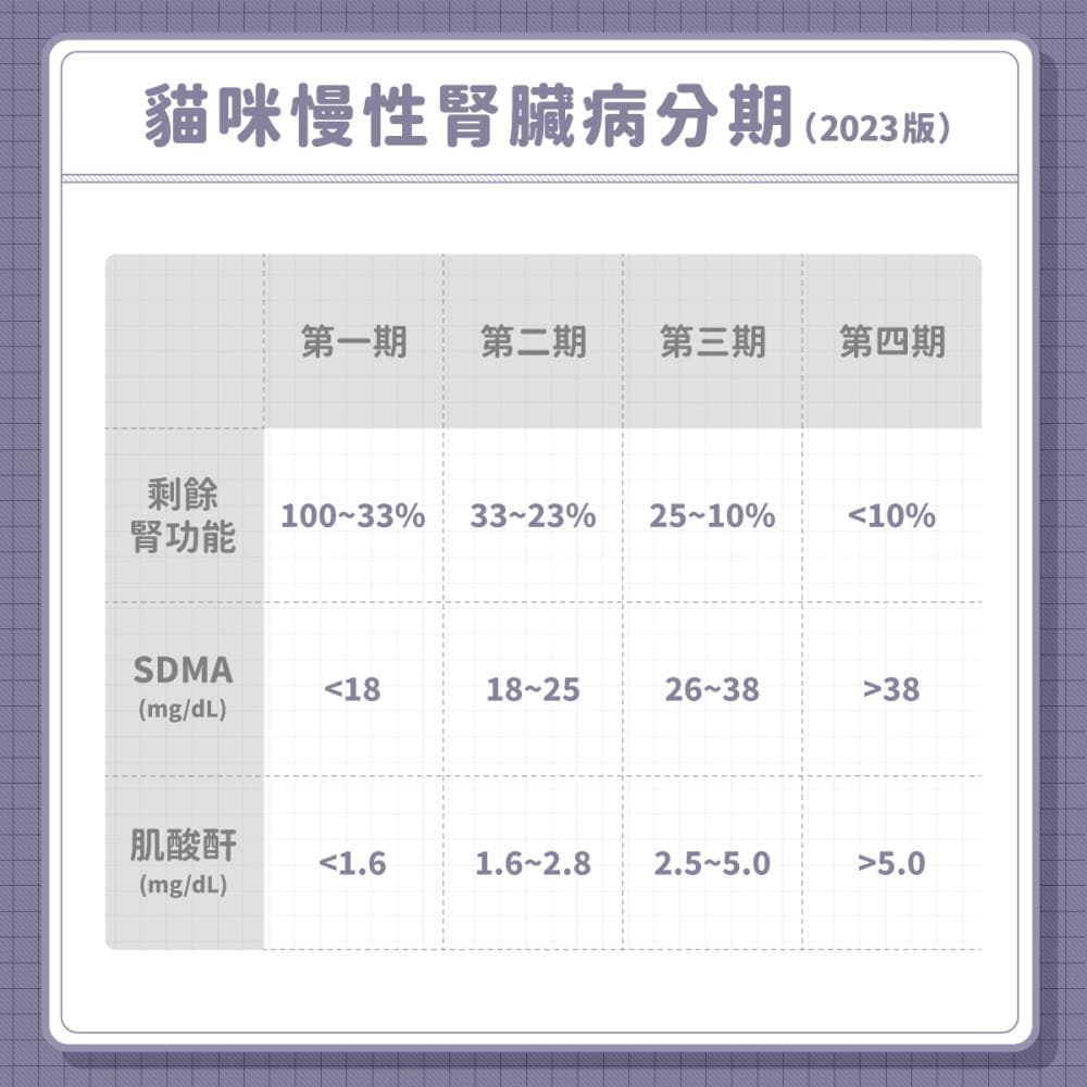30%老年猫患肾病，兽医：这6个症状要当心