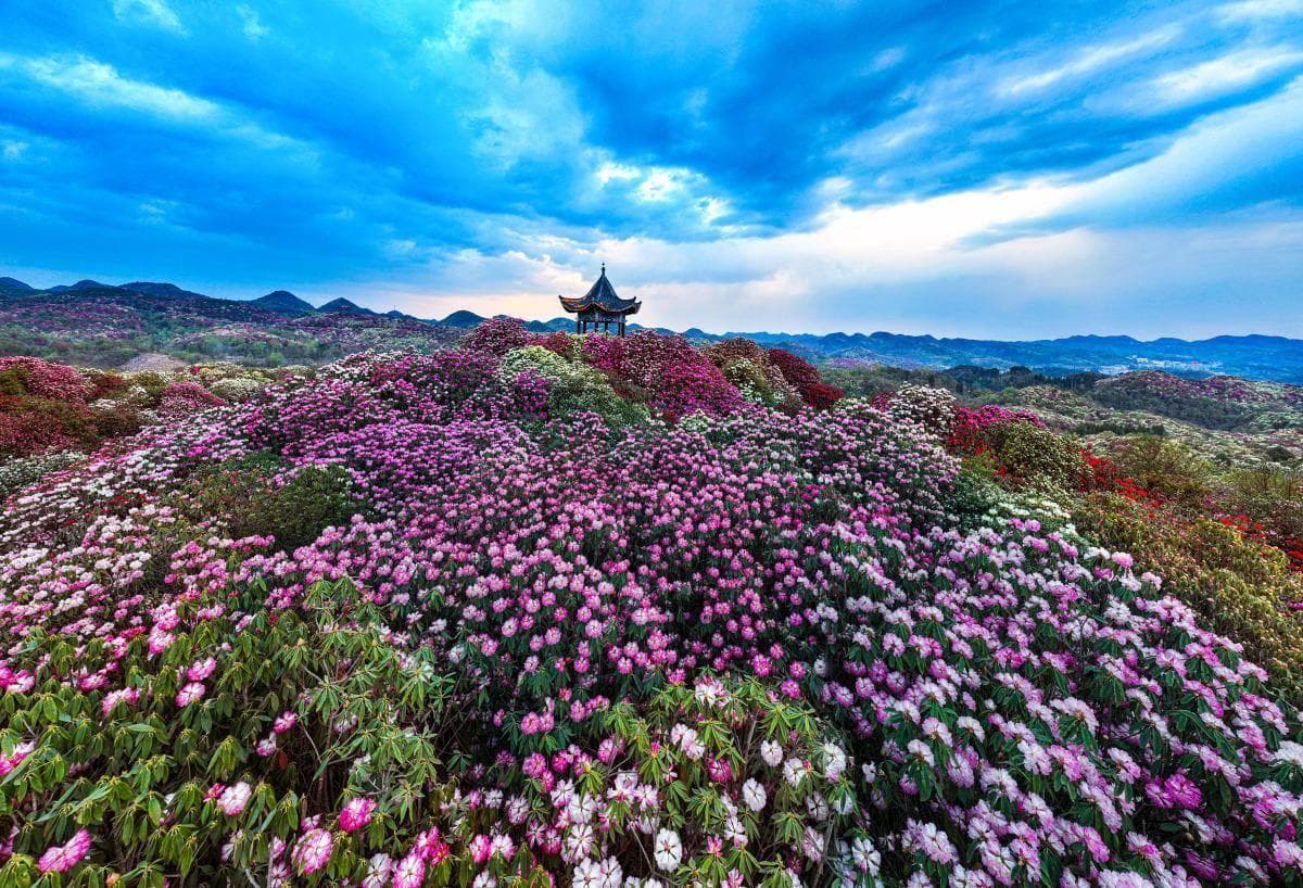 毕节旅游攻略景点大全，毕节旅游必去十大景点有哪些？看这里！