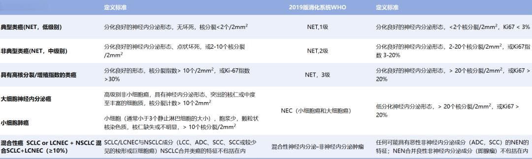 肺NENs分类更新：两大类四型，诊断要点全解析