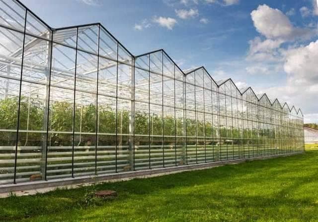 荷兰是如何利用智能温室大棚和无土栽培技术发展现代农业的？