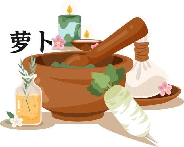 《本草纲目》中的萝卜：从民间偏方到现代药理研究