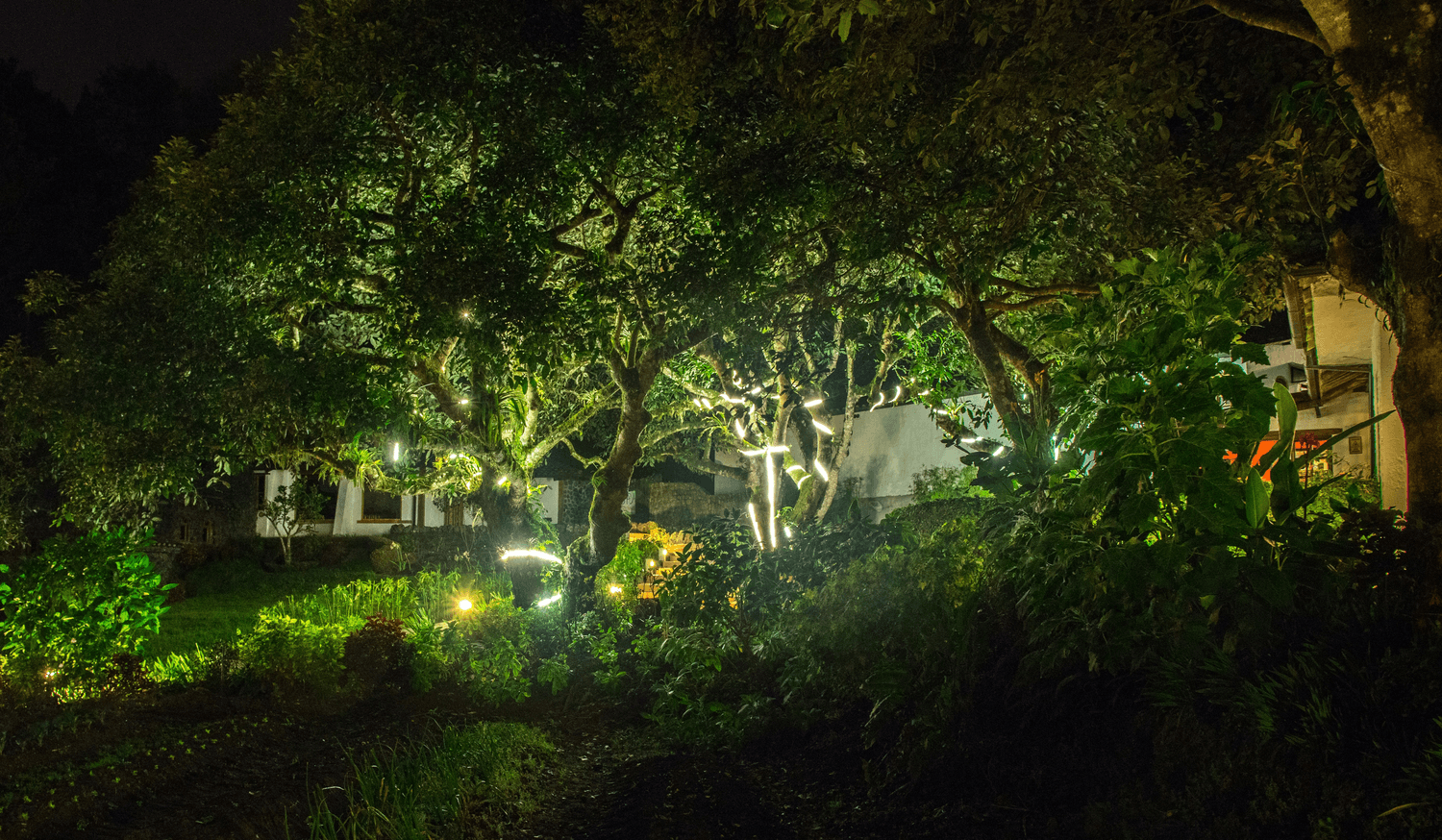 夜游苏州园林：《国家宝藏》探秘“吴中大地”