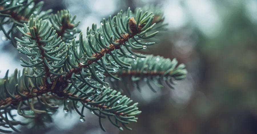 这些穴位是人体自带的六味地黄丸、逍遥丸、牛黄解毒丸