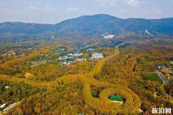 5A景区钟山风景区：明孝陵中山陵等景点免费开放