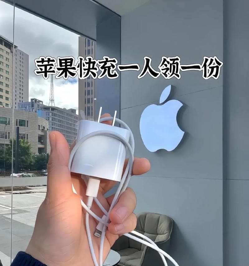 苹果手机充电器的使用指南（了解苹果手机充电器的特点与使用技巧）
