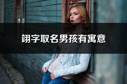 “翊”字取名男孩有寓意
