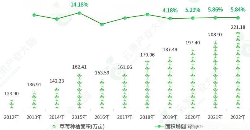 2024年中国草莓产业数据分析简报