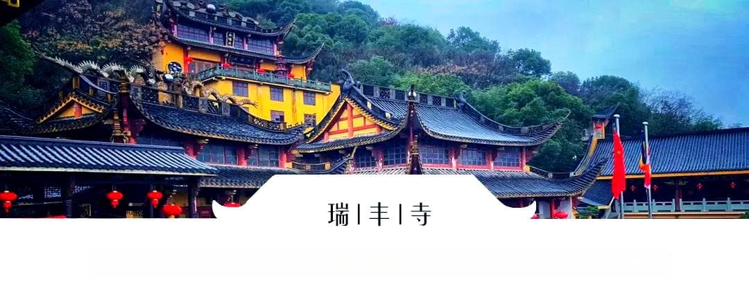 佛教视角：深入解析贪嗔痴三毒