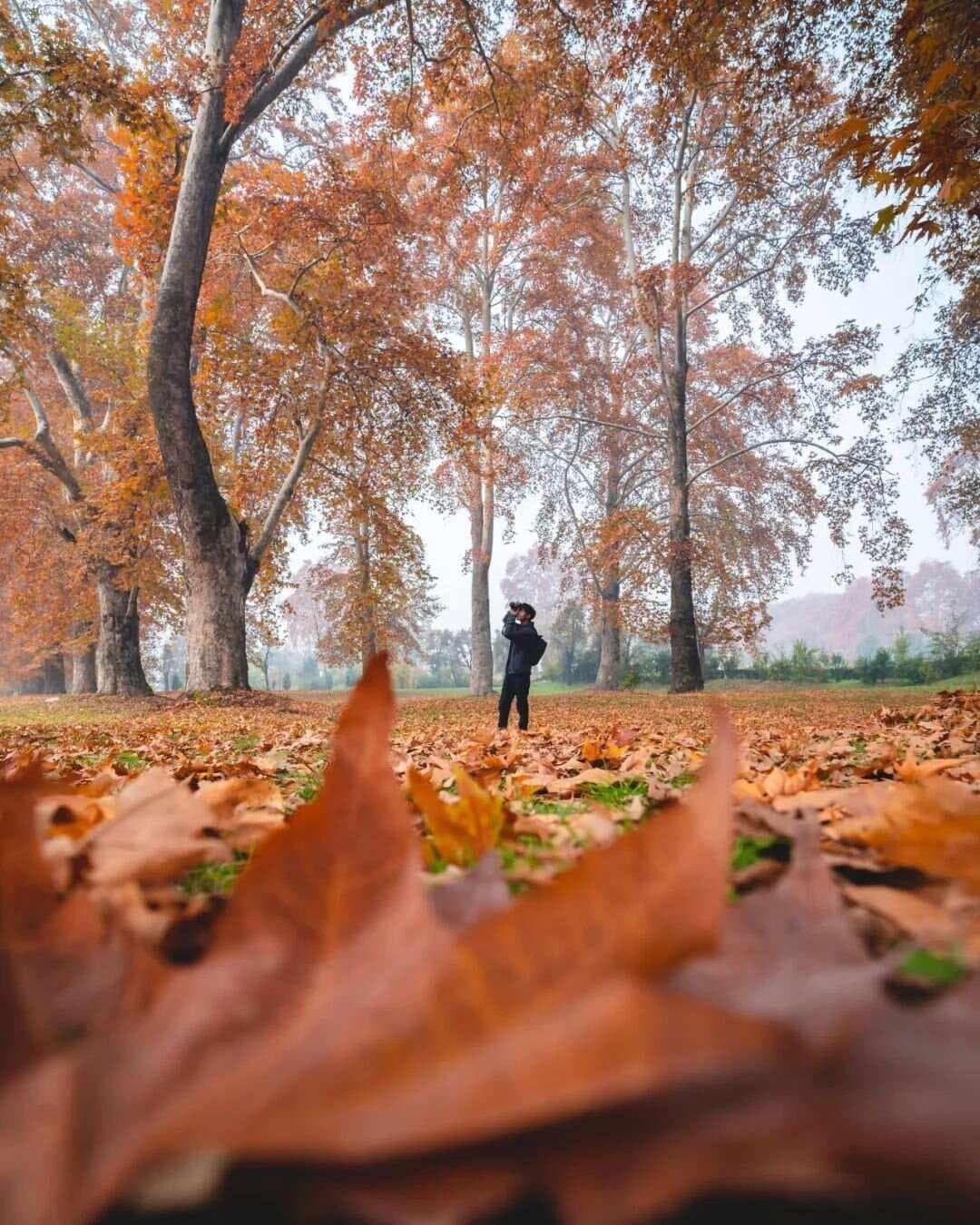 嗨森课堂：构图的含义与评片